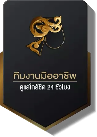 sathu88 - Professional-team